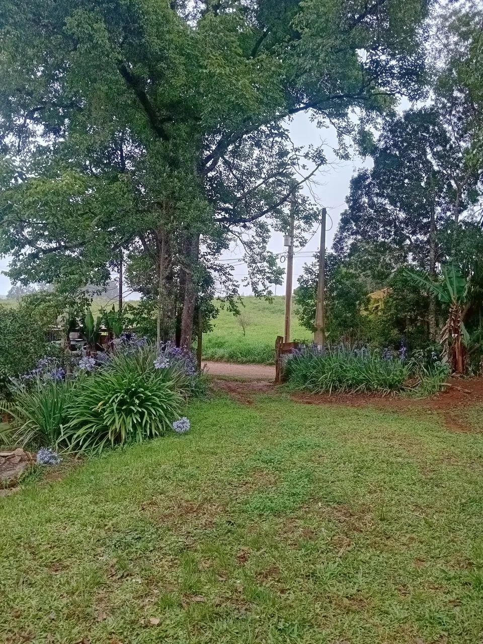 Foto - Piedade - Miguel Ruço de Baixo