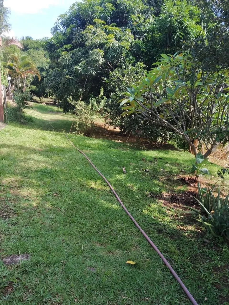 Casa em Arniqueira 2.000 metros - Foto 4