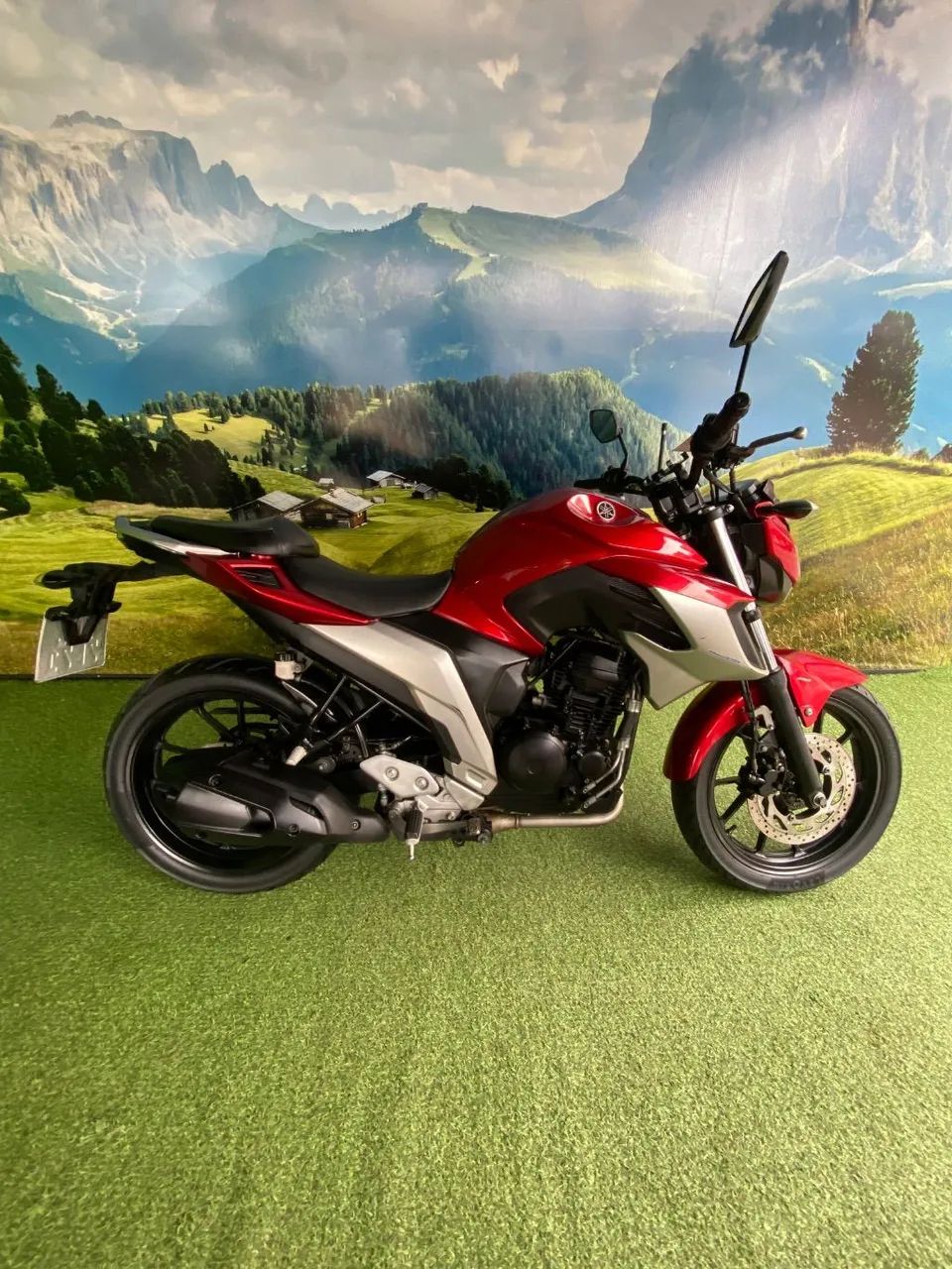 FZ25 250 FAZER FLEX