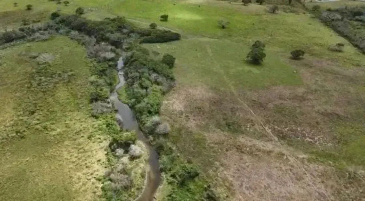 Fazenda Arapiranga a Venda 341 Hectares - Foto 8