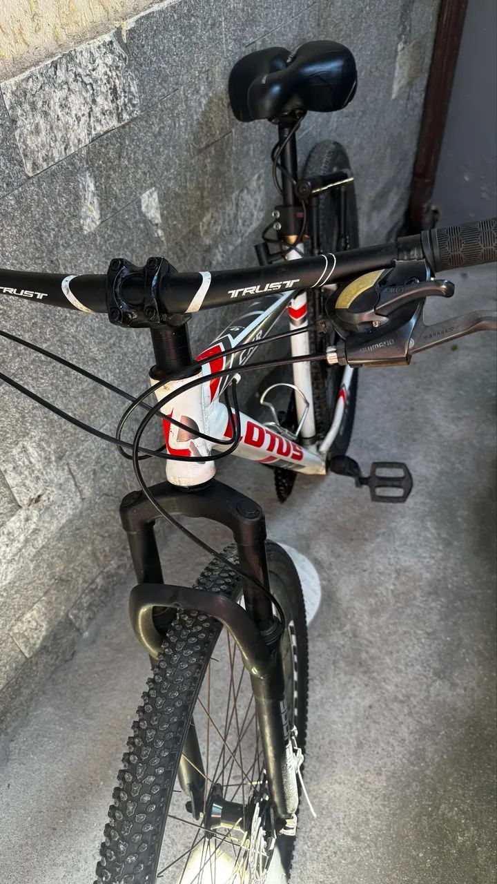 Bike 29
