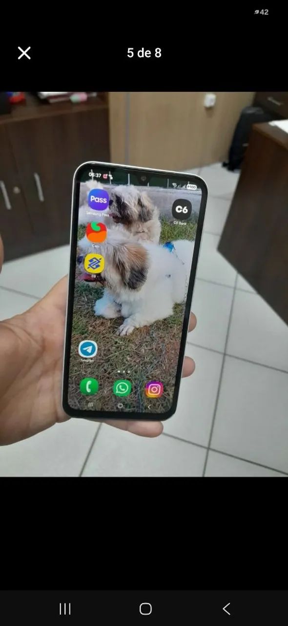 Celular 