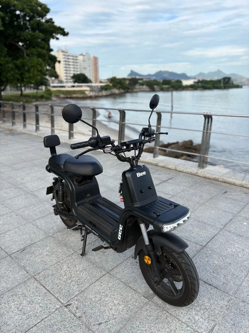 BEE U1+  - Foto 2