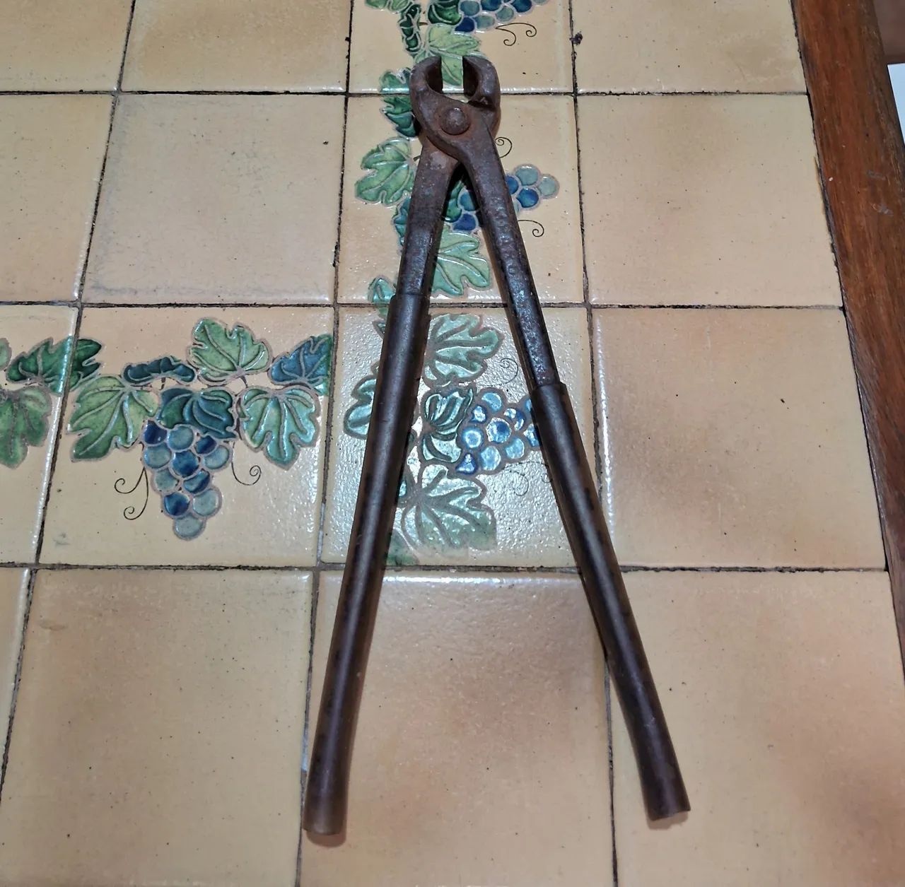 Torque Pliers N12