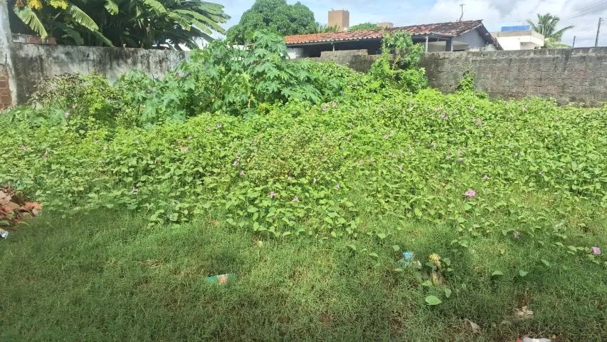 Terreno Comercial na Principal de Nova Mangabeira 400 m2