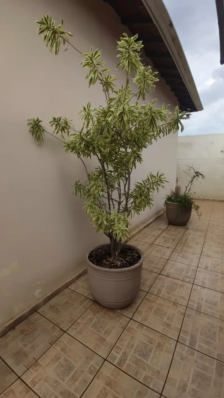 CASA PROXIMA A UNIFAC - Foto 3