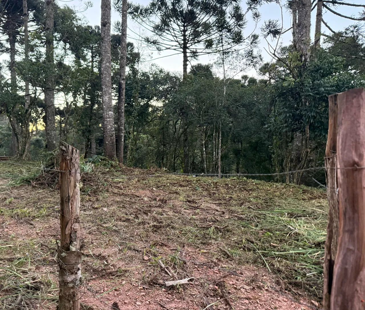 Lote em área rural chácaras  - Foto 2