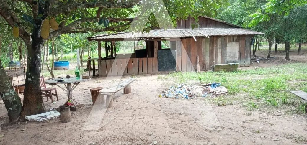 Imóvel Rural - Foto 5