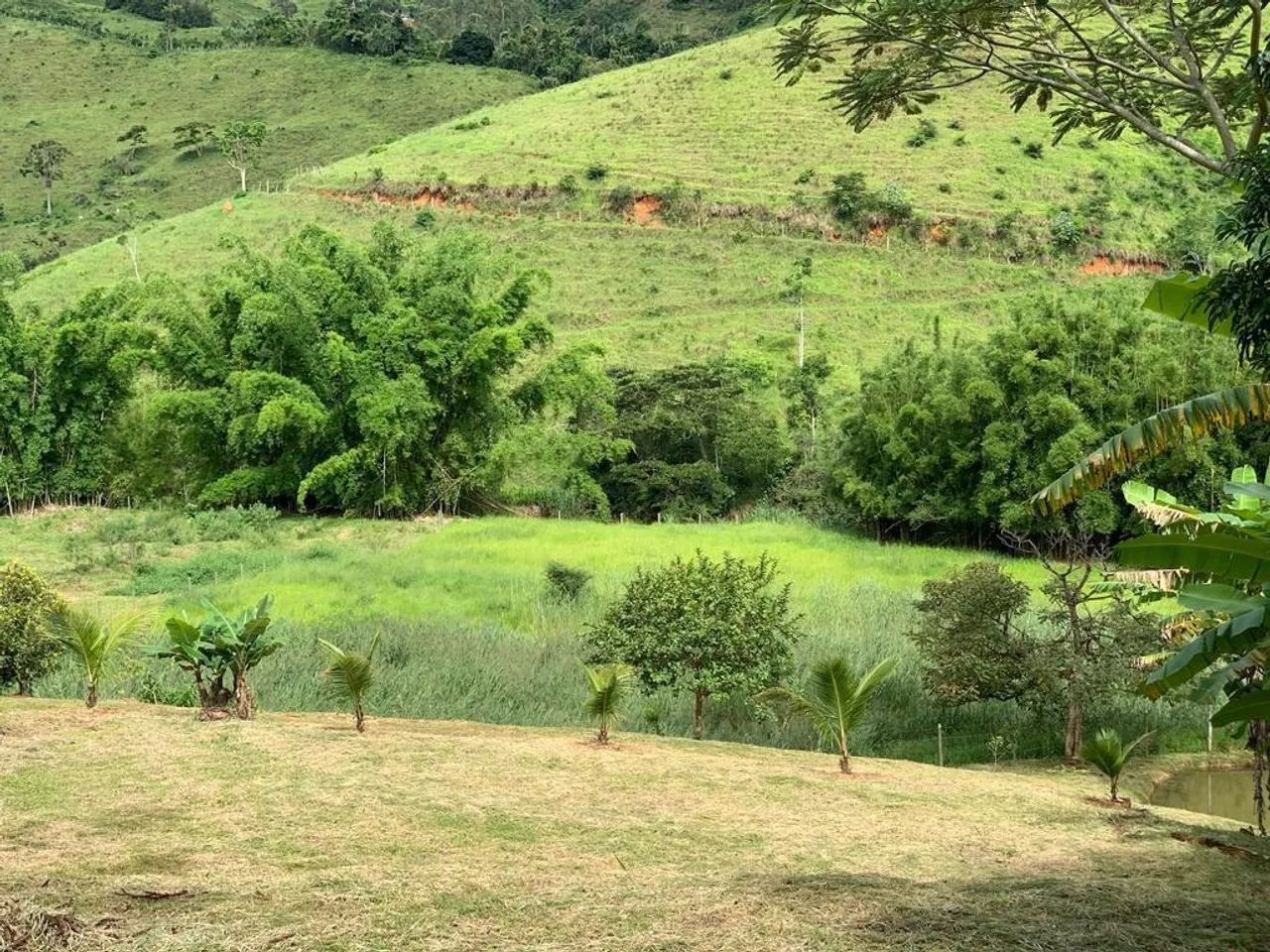 Venda  - Foto 3