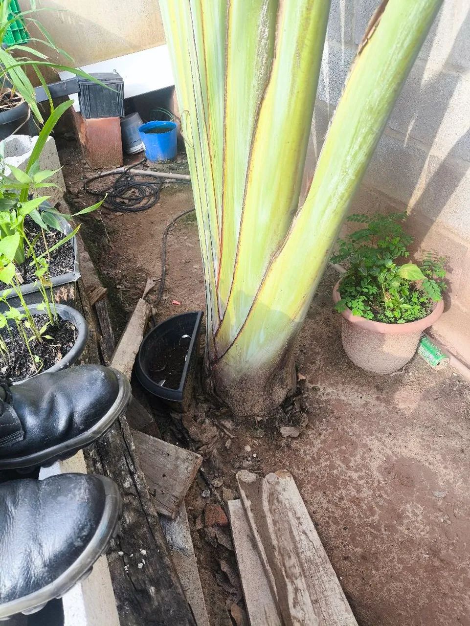 Vende-se  - Foto 2