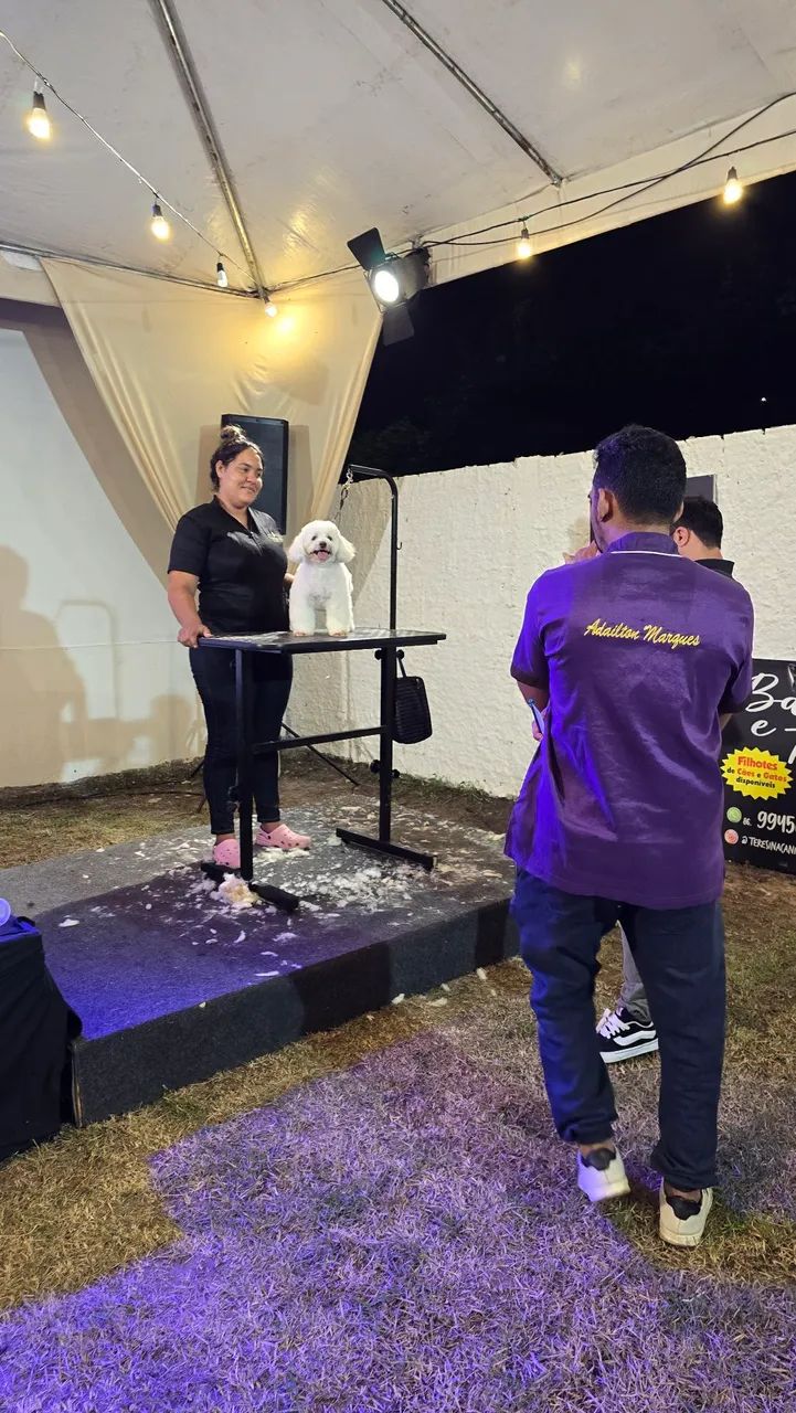 Cursos de Banho e Tosa com Estágio e Certificado - Aprenda com Especialistas! - Foto 6