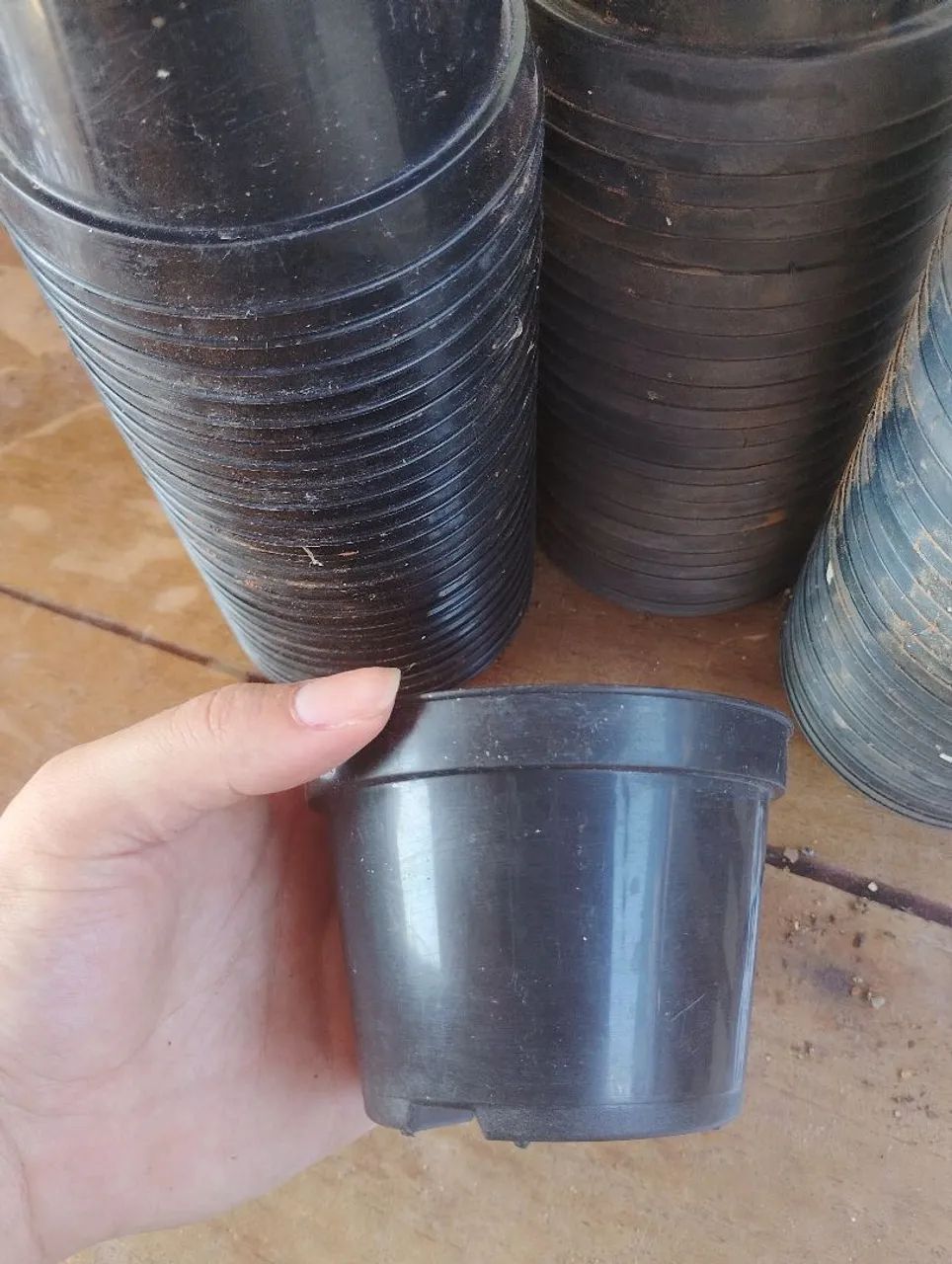 Vasos de plantas - Foto 5