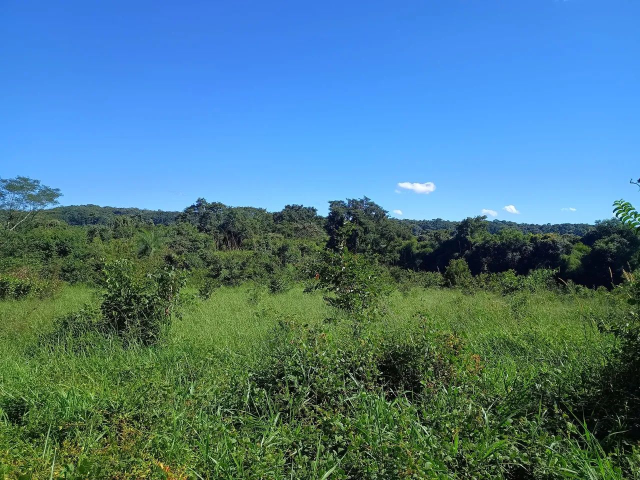 Fazenda em Barrolandia - Miracema - Palmas - Foto 5