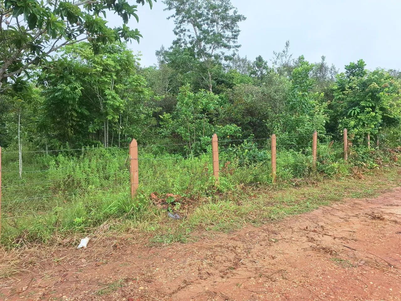 Terreno em São Cristóvão Povoado Timbô  - Foto 4