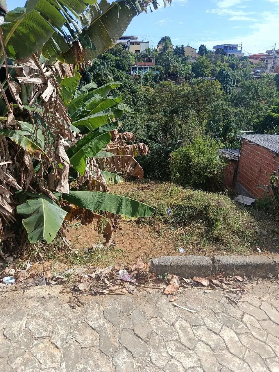 Lote  - Foto 2