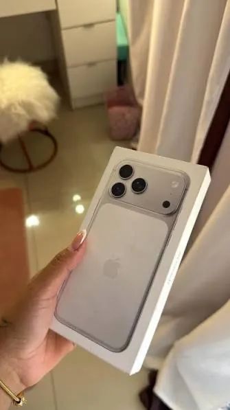 17 PRO Max Silver 