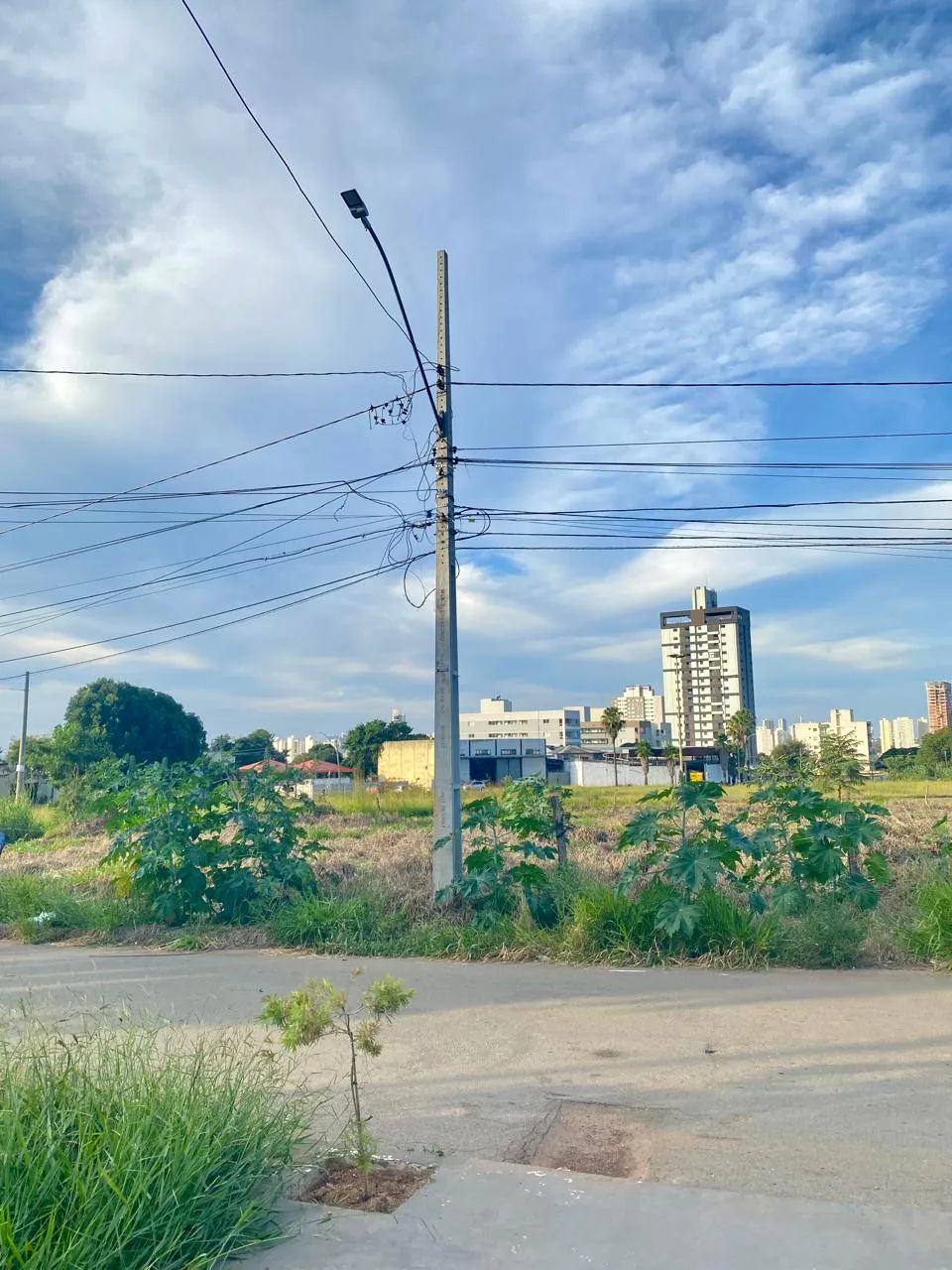 PRÓXIMO A AVENIDA RIO VERDE - Foto 2