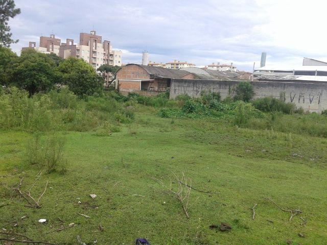 Área urbana com 04 lotes - Foto 6