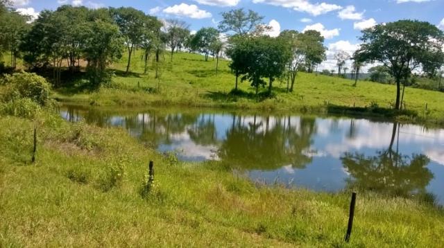 Fazenda em FORMOSA - GO, p/ Pecuária - Foto 9