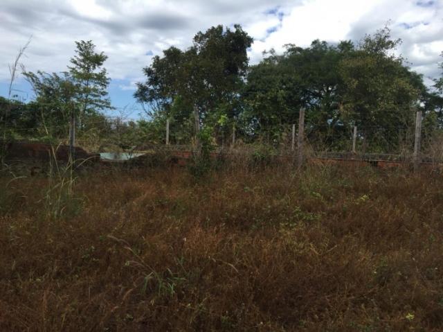 FAZENDA A VENDA EM MATO GROSSO (Dupla Aptidão) - Foto 7