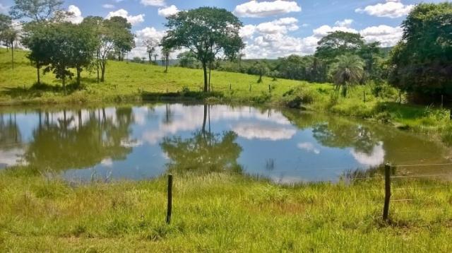 Fazenda em FORMOSA - GO, p/ Pecuária - Foto 8