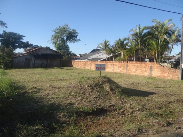 Lindo terreno na Praia, na região do Centro de Bal Barra do Sul - Foto 3