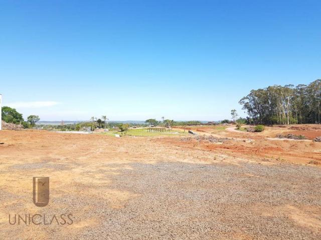 Terreno à venda em Centro, Nova santa rita cod:TE0296 - Foto 19