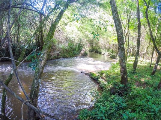Chácara à venda em Pinheiro torto, Passo fundo cod:11207 - Foto 10