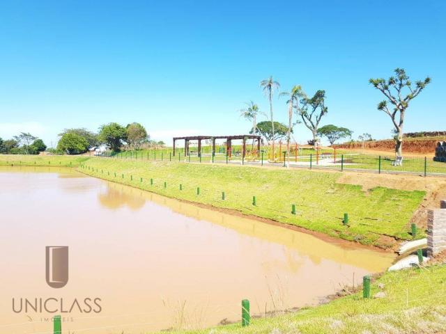 Terreno à venda em Centro, Nova santa rita cod:TE0296 - Foto 10