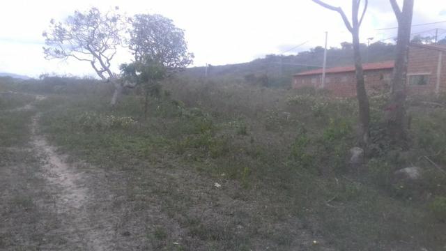 Área em Chã Grande com bastate água (Cód.: 9f2e3e) - Foto 7