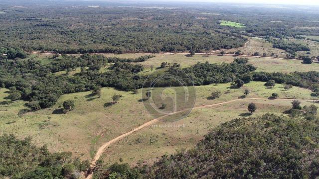 Fazenda 1.050ha região rosario oeste (cedral) - Foto 3