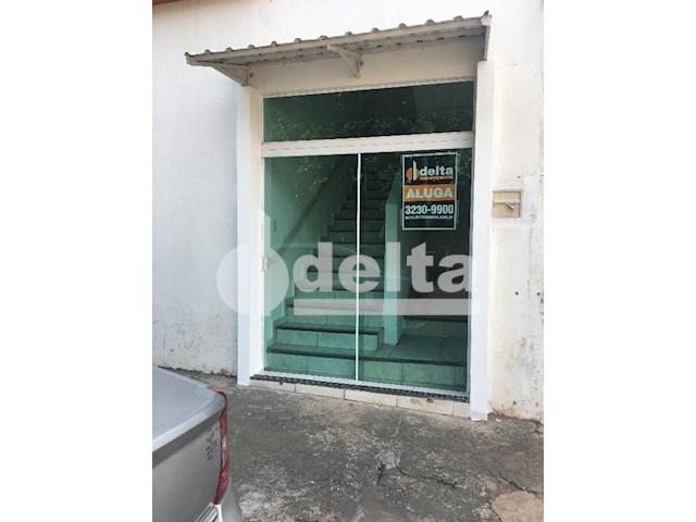 Apartamento para alugar com 3 dormitórios em Santa mônica, Uberlândia cod:571599 - Foto 14
