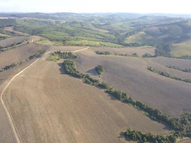 Vendo fazenda 350 alqueires em arapoti-pr - Foto 20
