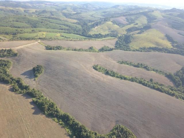 Vendo fazenda 350 alqueires em arapoti-pr - Foto 14