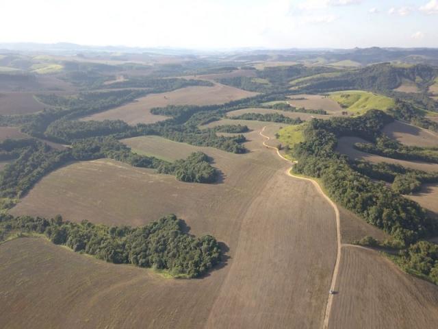 Vendo fazenda 350 alqueires em arapoti-pr - Foto 2