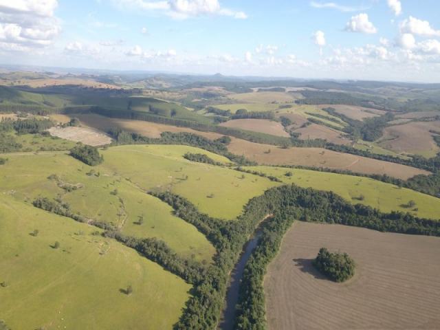 Vendo fazenda 350 alqueires em arapoti-pr - Foto 17