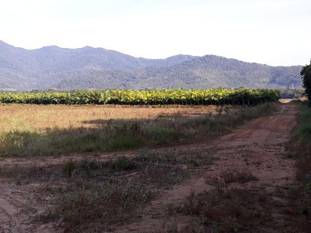 Fazenda Linda para Plantio de Arroz, Aceita parte Parcelado - Foto 6