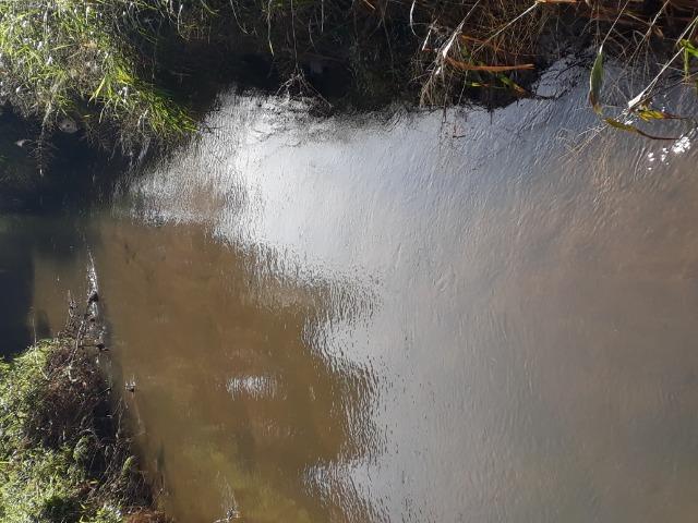 Fazenda Linda para Plantio de Arroz, Aceita parte Parcelado - Foto 7