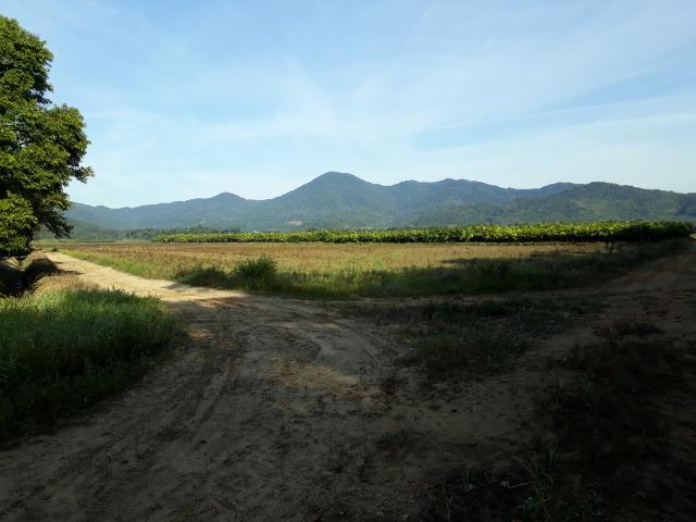 Fazenda Linda para Plantio de Arroz, Aceita parte Parcelado - Foto 11
