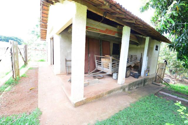 Chácara 1,5 alqueires município Morrinhos - Foto 15