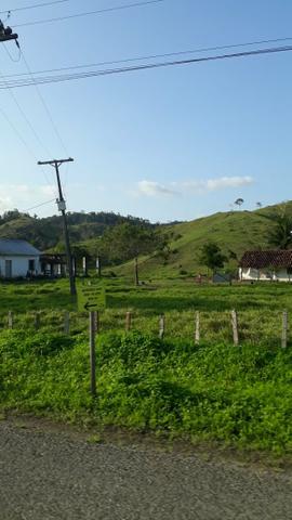 Casas, Sitio, fazenda e terrenos - Foto 3