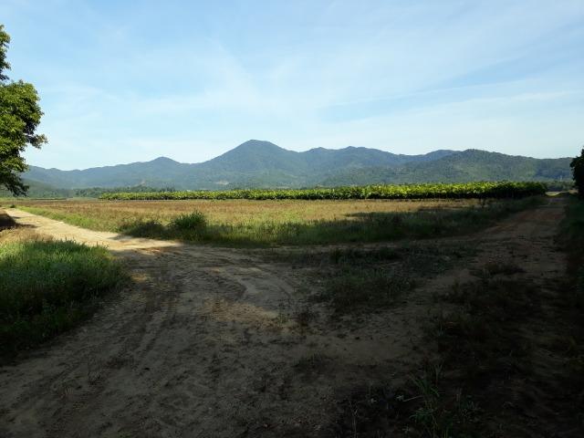 Fazenda Linda para Plantio de Arroz, Aceita parte Parcelado - Foto 10