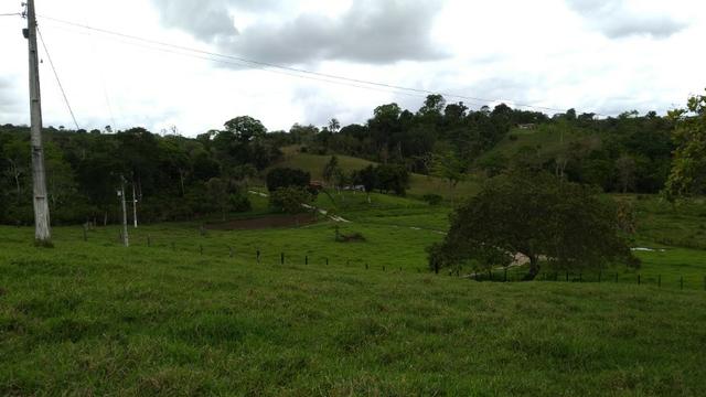 Fazenda - Foto 5