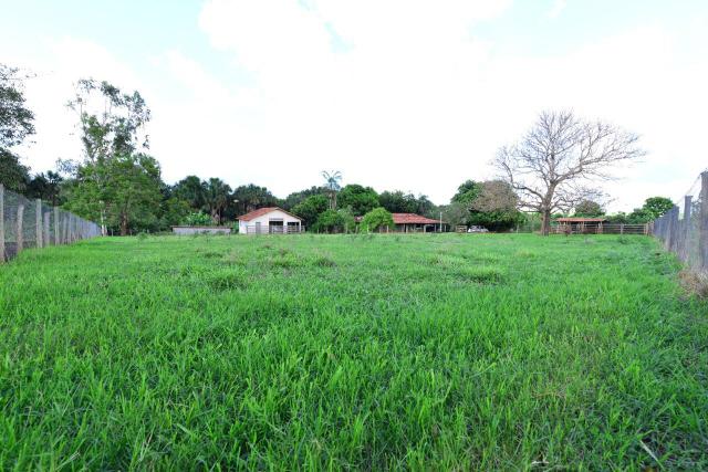 Chácara 1,5 alqueires município Morrinhos - Foto 12