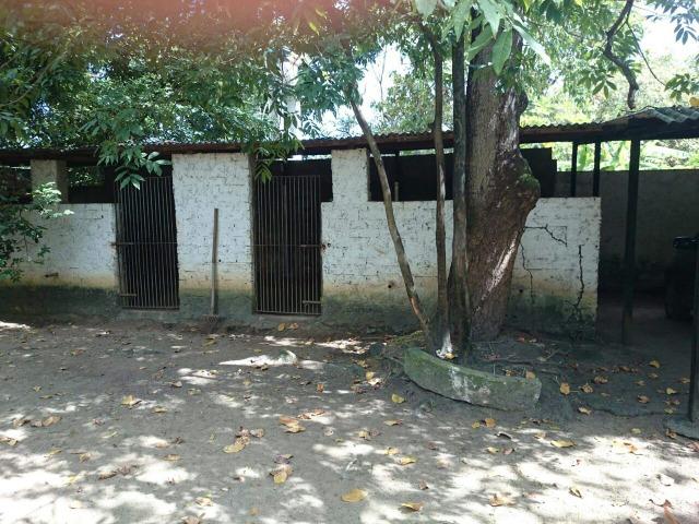 Chácara paraiso - Foto 7