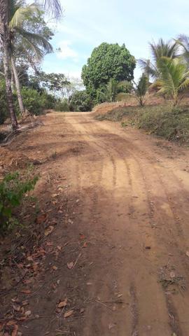 Lotes em Cruz de Rebouças - Igarassu - PE - Foto 2