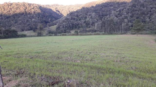 Fazenda - Foto 2