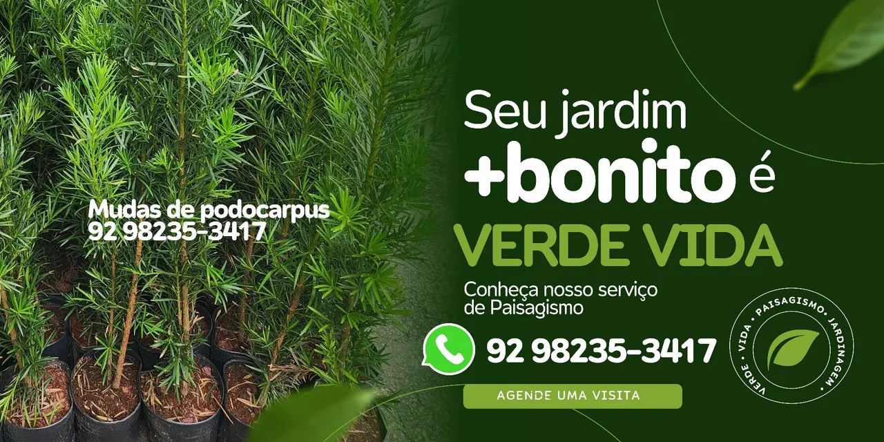 Grama Esmeralda e Jardim 