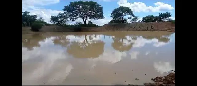 Fazenda 800 Hectares... Destaque Pecuária. 2.800.000.00 - Foto 6