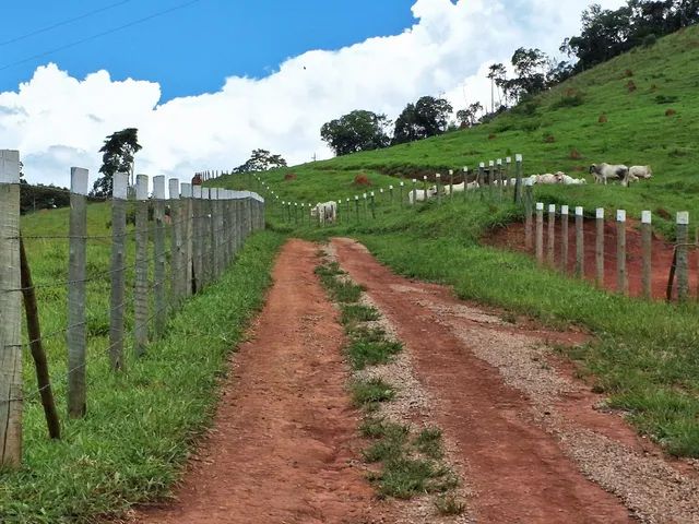 Sitio 19.52 Hectares - Foto 2
